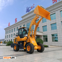 LAIGONG LGE10- Brand New Loader